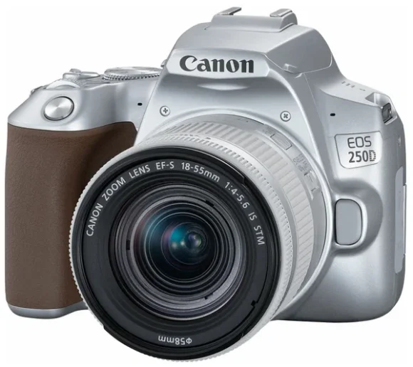 Фотоаппарат Canon EOS 250D Kit 18-55mm f/4-5.6 IS STM, серебристый 