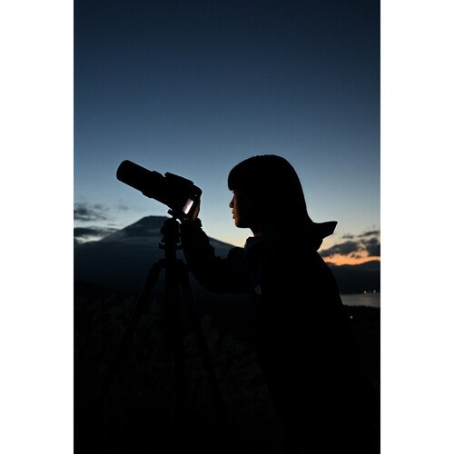 Фотоаппарат Nikon Coolpix P1100, чёрный 