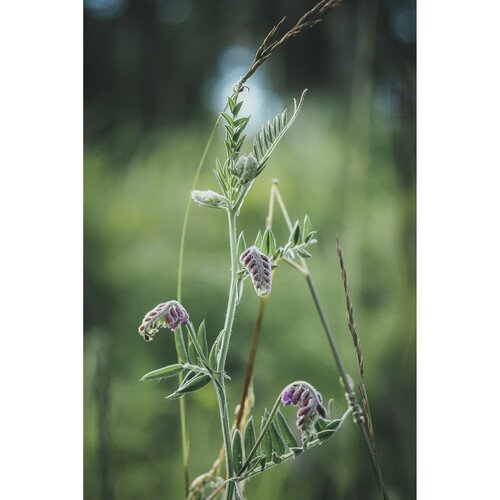 Фотоаппарат OM System OM-5 Kit 12-45mm f/4 PRO, чёрный Фотоаппарат OM System OM-5 Kit 12-45mm f/4 PRO, чёрный