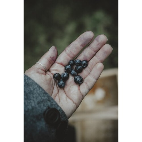 Фотоаппарат OM System OM-5 Kit 12-45mm f/4 PRO, чёрный Фотоаппарат OM System OM-5 Kit 12-45mm f/4 PRO, чёрный