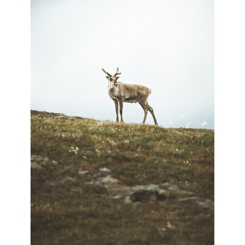 Фотоаппарат OM System OM-5 Kit 12-45mm f/4 PRO, чёрный Фотоаппарат OM System OM-5 Kit 12-45mm f/4 PRO, чёрный