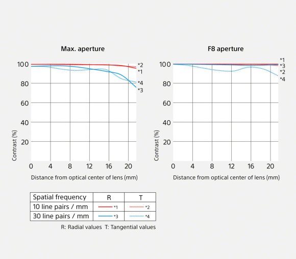 Объектив Sony FE 100mm f/2.8 Macro GM 