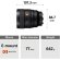 Объектив Sony FE 85mm f/1.4 GM II, чёрный 