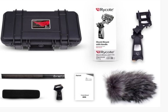 Aputure Deity Location Kit 