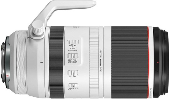 Canon RF 100-500mm f/4.5-7.1 L IS USM 