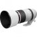 Canon RF 100-500mm f/4.5-7.1L IS USM 